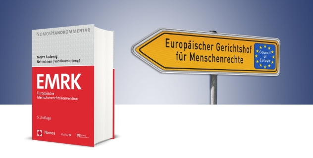 art 8 emrk prüfungsschema